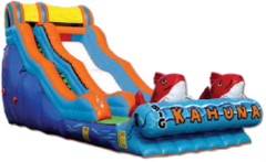 17 Ft Big Kahuna Slide 17 Ft Big Kahuna Slide