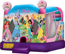 C4 Combo Disney Princess 2 Dry C4 Combo Disney Princess 2 Dry